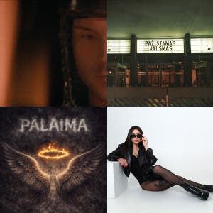 Lietuvos TOP Hitai 🇱🇹  — cover art