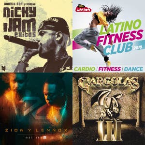 Daddy Yankee, Nicky Jam, Don Omar, Farruko, Zion&Lennox, J Balvin, Ozuna, Wisin MIX — cover art