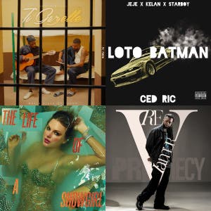 Top 100: Mauritius — cover art