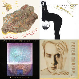 The Best of Peter Murphy — cover art