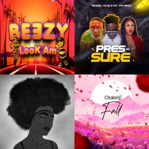 The Gambia Chill Mix — cover art