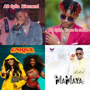 Les nouveautés Guinéen  — cover art