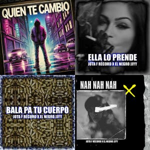 FHGF..........MINI 1 — cover art