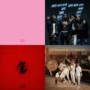 Suriname party — cover art