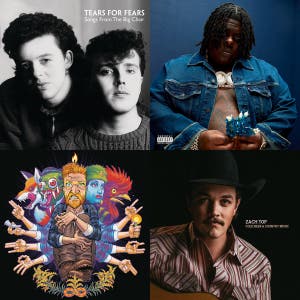 Railbirds — cover art