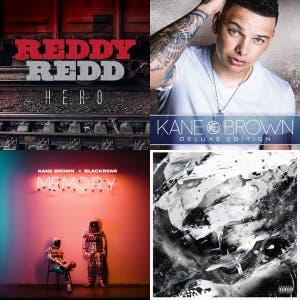 Terri Playlist — cover art