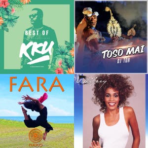 Fiji Party Dance Mix — cover art