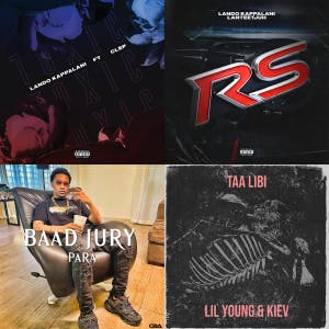 Surinaams — cover art