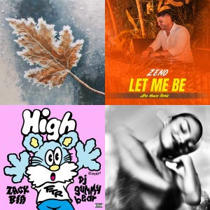 Mirkez — cover art