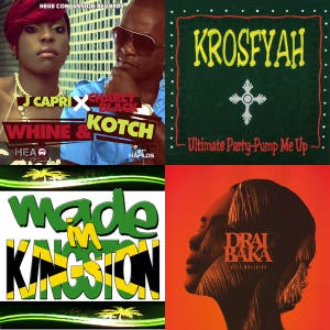 Surinaams, Dancehall & Party poku — cover art