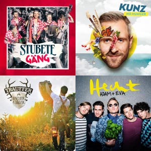 Schweizer Party Hits — cover art