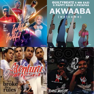 Namibian Party — cover art