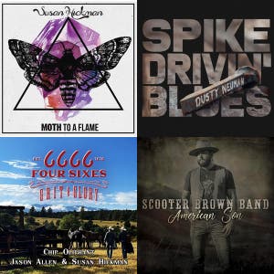 Texas Music Artists and Friends