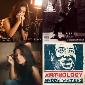 Best Harmonica Blues  — cover art