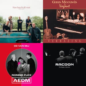 BLOF, Acda en de Munnik, Racoon 🇳🇱 Guus Meeuwis, Diggy Dex, Van Dik Hout,Marco Borsato,Krezip MIX — cover art