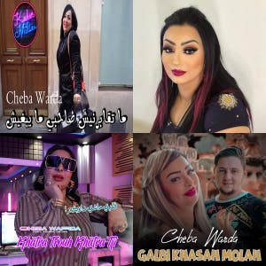 Romani/North African Music — cover art