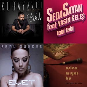 Turk mahnilari - playlist by Tahmina Sahibli | Spotify