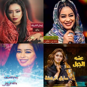 Music Sudan  — cover art