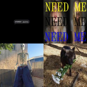 Sofyvnoxo — cover art