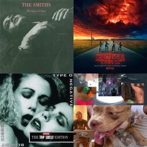 Caterwauling  — cover art