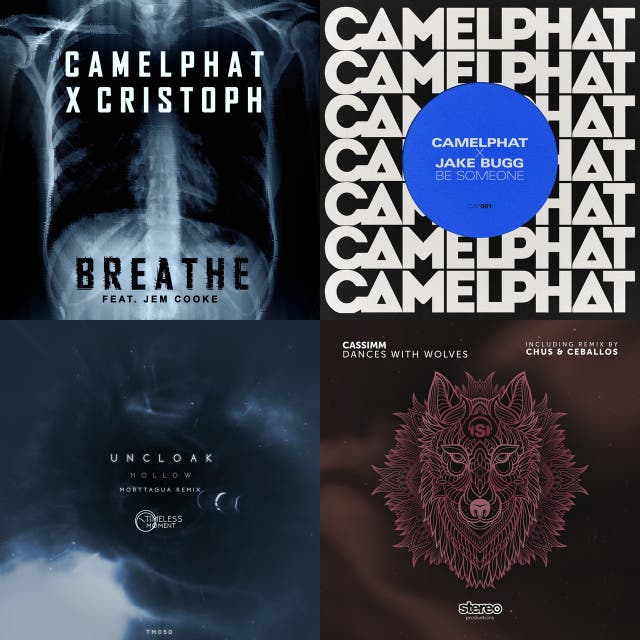 Cassimm Dances With Wolves Chus & Ceballos Remix