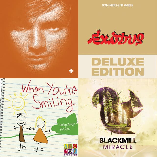 Lyrical Slow Tempo Music On Spotify