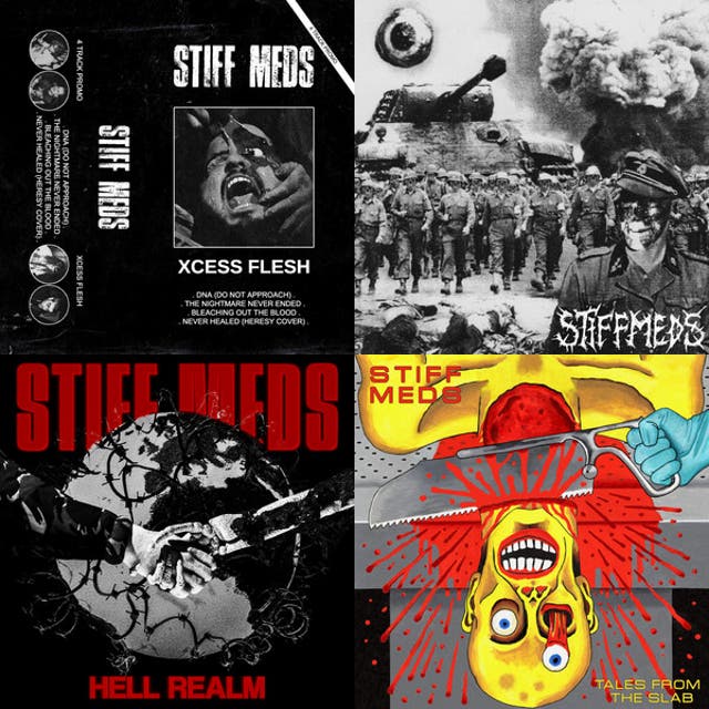 Stiff Meds Entire Discog cover