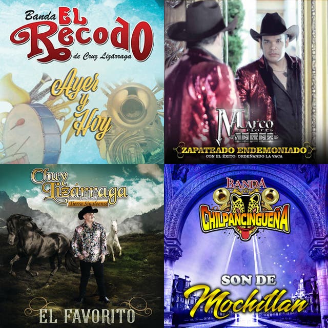 canciones de rodeo - playlist by Miguel becerra chamlati | Spotify