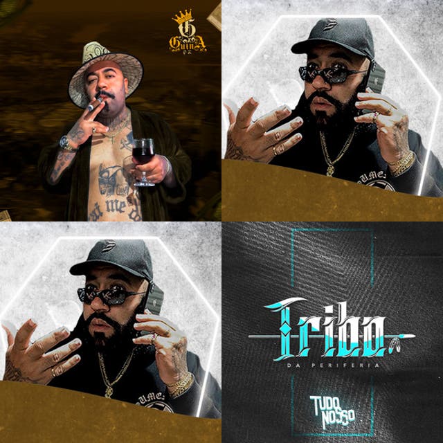 Imagem de Brinsan
