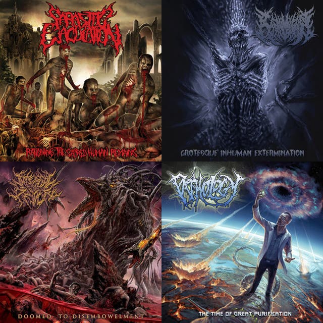 Grindcore/Slamming/Pornogore/Deathcore/Brutal Death Metal cover