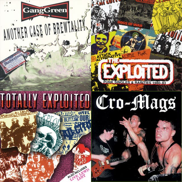 Aggressive Punk & Hardcore - playlist by Roel Houbart | Spotify