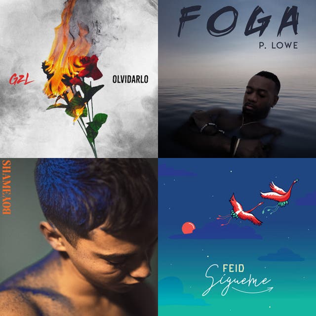 Zouk Paloma Playlist By Pahgmoraes Spotify
