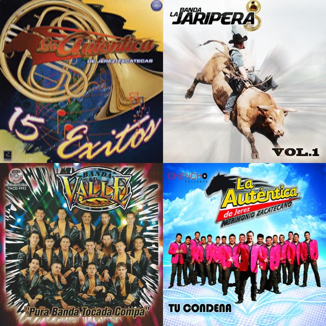 musica de rodeo - playlist by 666enrique | Spotify