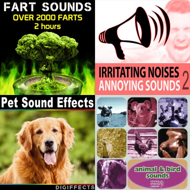Prank sounds