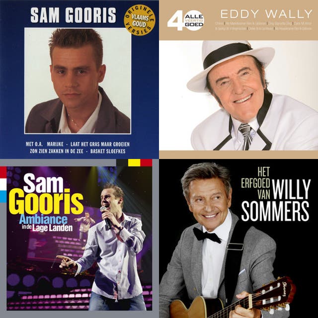 Cover art for Belgische top QRSong!s