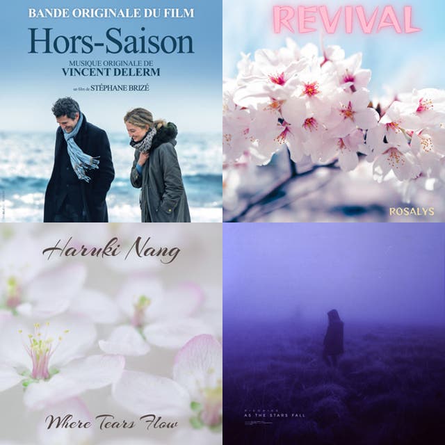 BEST Classical music instrumental cover