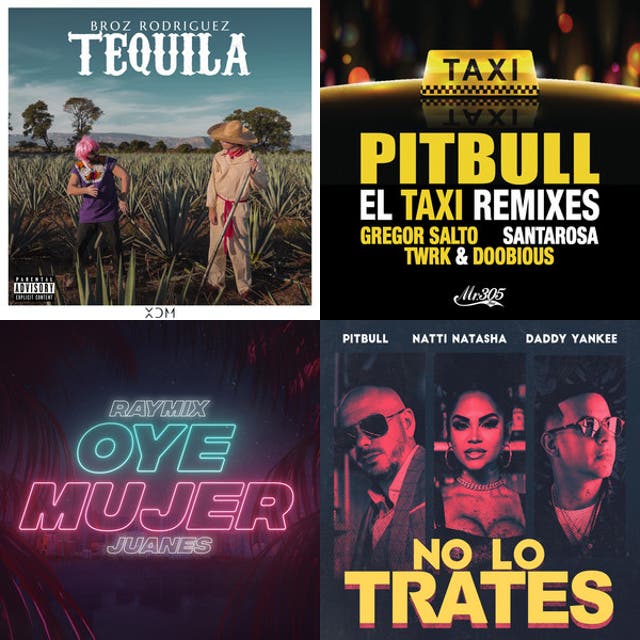 DJ Santarosa playlist by Manolo Mares Martinez Spotify