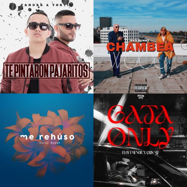 Xv Playlist By Donitaxd Spotify