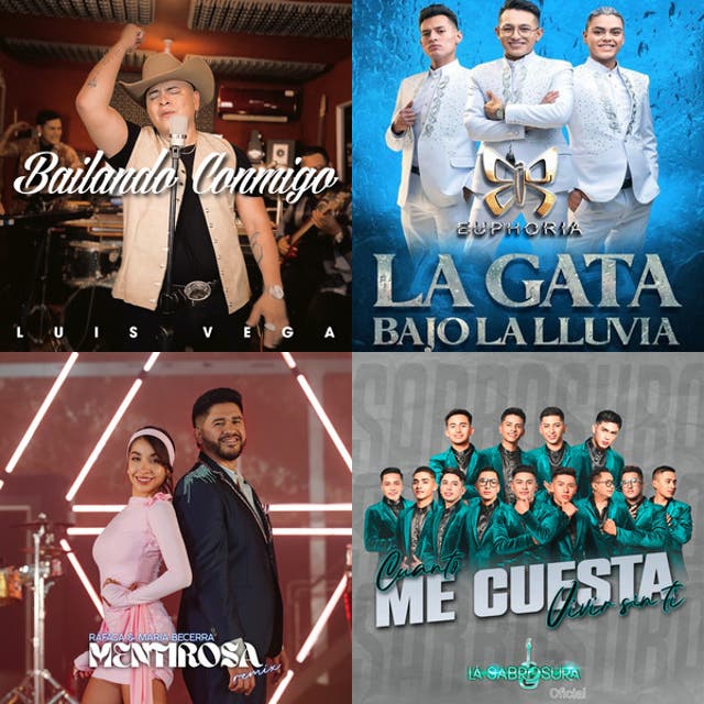 CUMBIA BOLIVIANA 🇧🇴 2024 Cumbias Bailable Mix Variadas 🎶