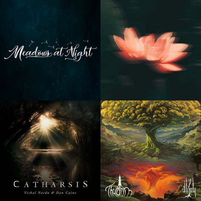Healing with Nature | mild Ambient Instrumentals Spotify playlist cover art