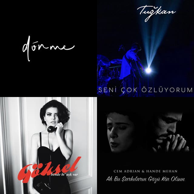 Amk hayatı - playlist by Lvnt | Spotify