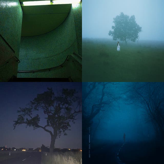 Soft And Comforting Songs Playlist By Dakotazzz Spotify