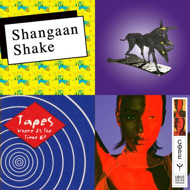 • Shangaan Electro/Kuduro/Kwaito/Polyrhythms/Dancehall 🌍