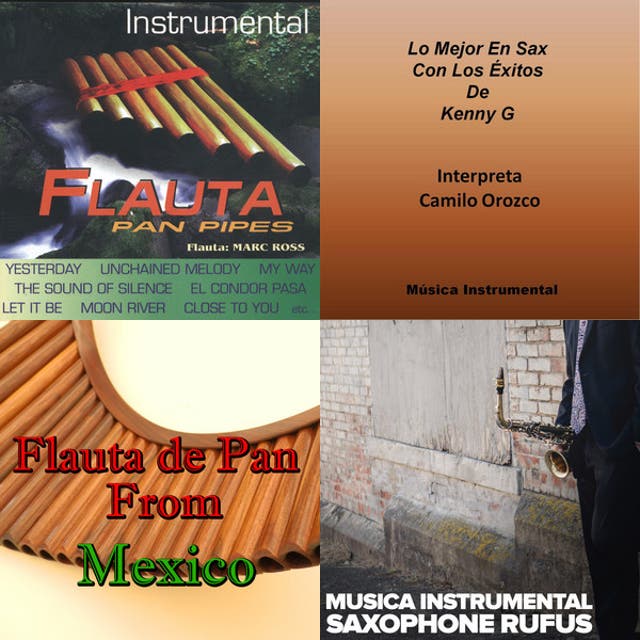 FLAUTAS INSTRUMENTALES - Playlist By Ramón | Spotify