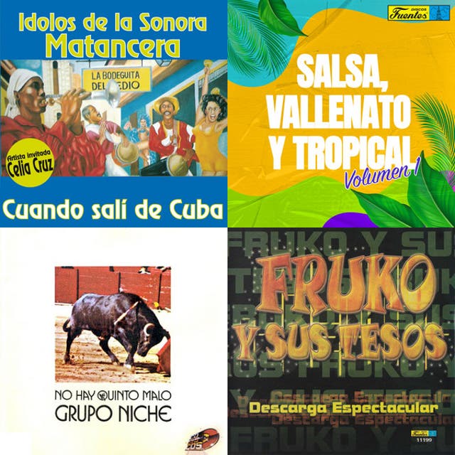 Salsa cover