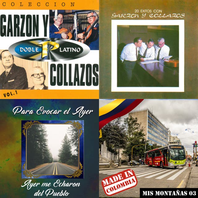 MÚSICA ANDINA COLOMBIANA