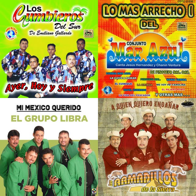 Los Armadillos de la Sierra Mix - playlist by Jesus | Spotify