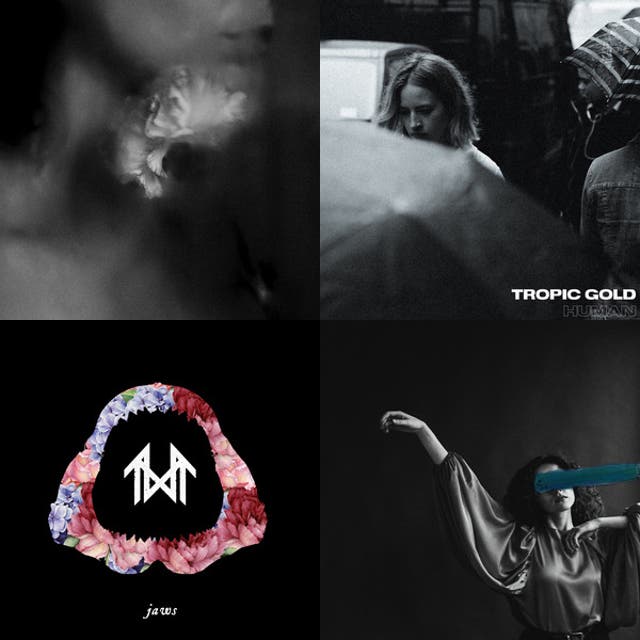 Linzmuziek Vol. 1 Spotify playlist cover art