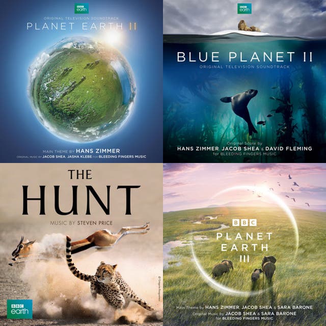 Best of Planet Earth - playlist by Matt McEathron | Spotify