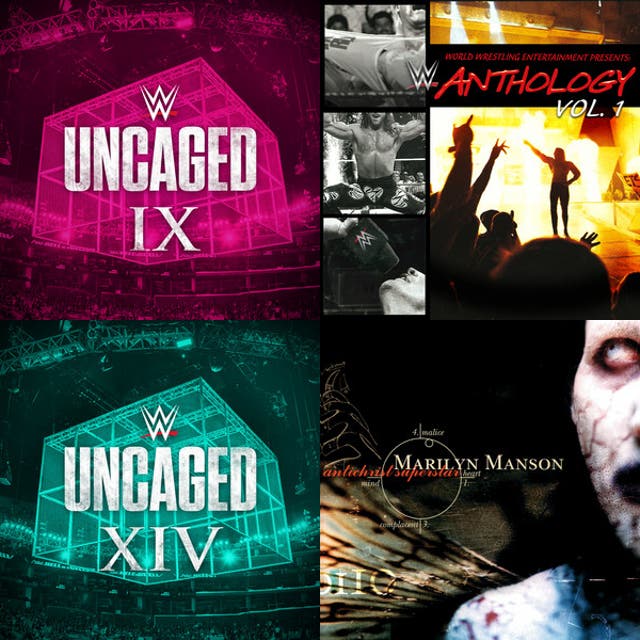 WWE RAW theme songs 1995-2025 (INCLUDING BUMPER THEMES) - playlist